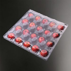 Kisállat átlátszó műanyag kagyló gyümölcscsomagoló doboz tiszta gyümölcs edény